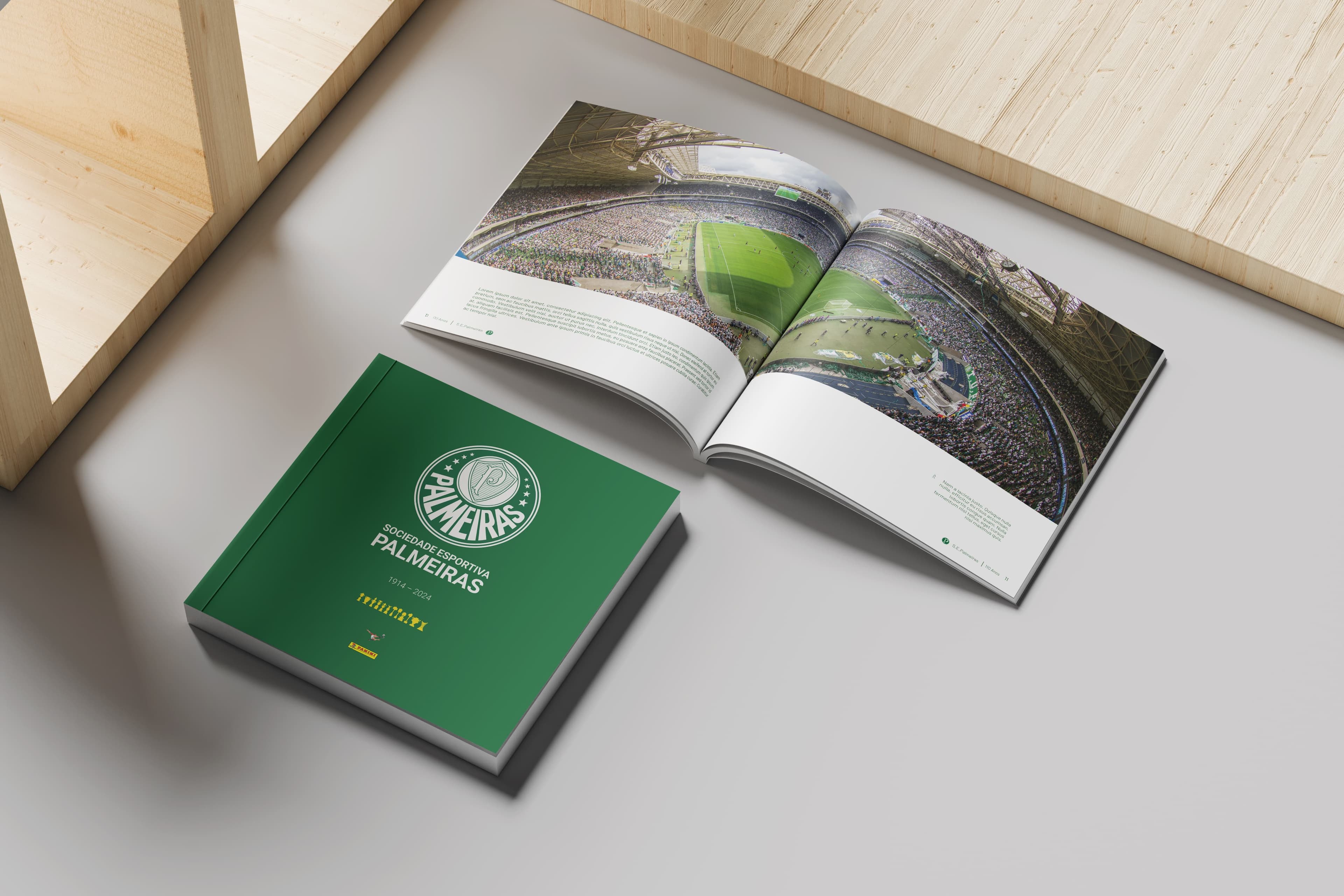 PANINI PALMEIRAS 110 YEARS COMMEMORATIVE BOOK
